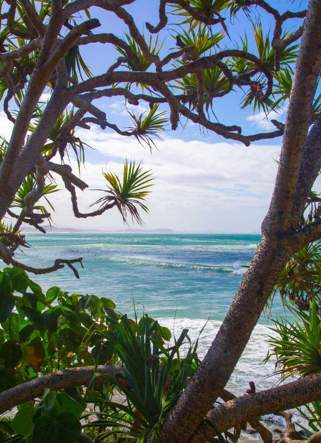 Rainbow Bay Beachhouse Coolangatta Eksteriør billede